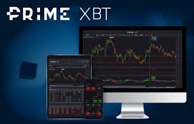 Unlocking Trading Potential with PrimeXBT Brazil App