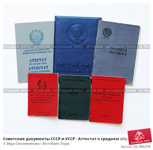 Купить диплом морской специальности ваш путь к успеху