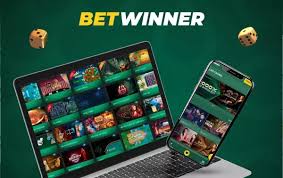 Explore the BetWinner Betting Platform A Comprehensive Guide