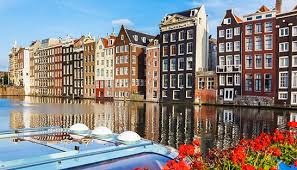 Oude Koeienrassen in Nederland Waardevol Erfgoed