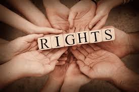 Contact a Human Rights Lawyer for Your Legal Needs 1347514160