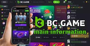 Discover the Exciting World of BC.Game Online Casino
